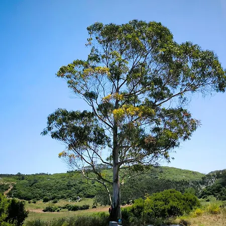The Windhouse Prázdninový dům São Bartolomeu